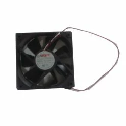 Polar Inner Fan