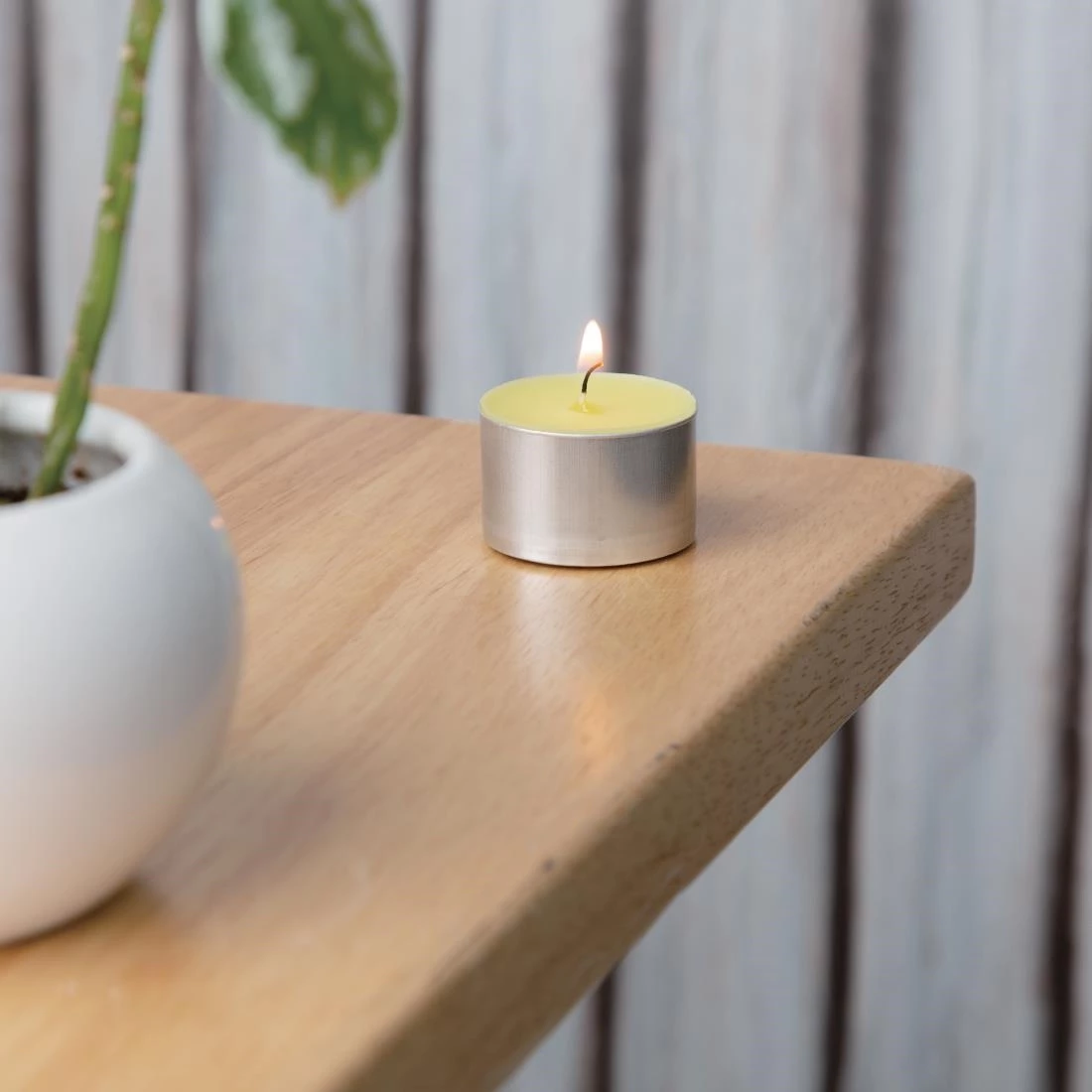 Eazyzap Citronella Tea Lights (Pack Of 50) - Image 4